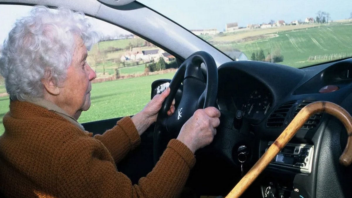 Permis de conduire senior