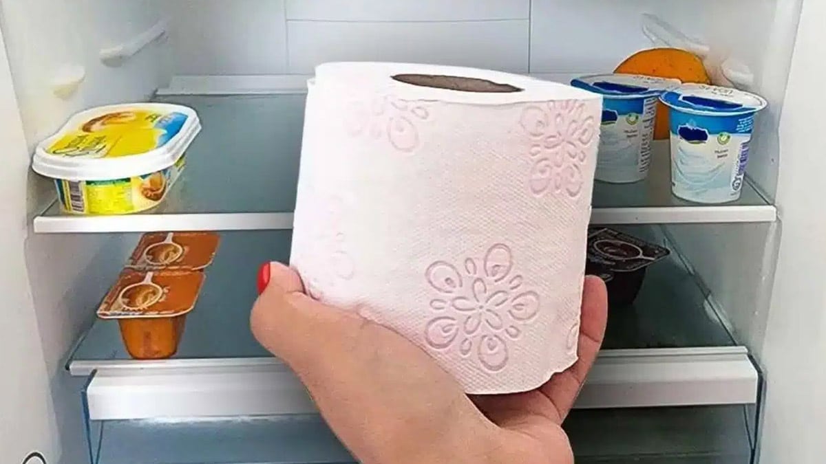 papier toilette réfrigérateur