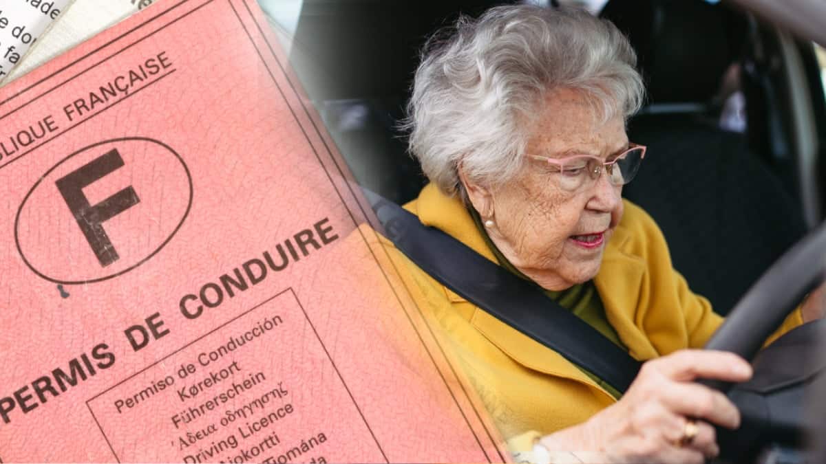 découvrez nos tests conçus spécifiquement pour les conducteurs seniors, garantissant sécurité et confort au volant. évaluez vos compétences de conduite et améliorez votre assurance grâce à des conseils adaptés à votre âge.