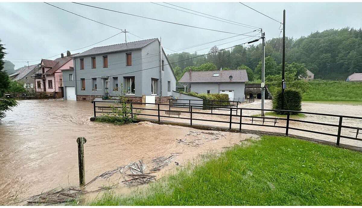 découvrez les derniers rapports sur les intempéries dans le nord de la france. restez informé des alertes météo, des impacts sur les transports et les conseils de sécurité pour faire face aux conditions climatiques difficiles.