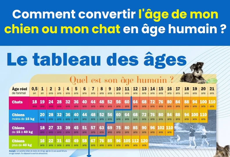 age chat