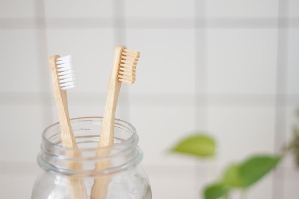 brosse à dent écolo