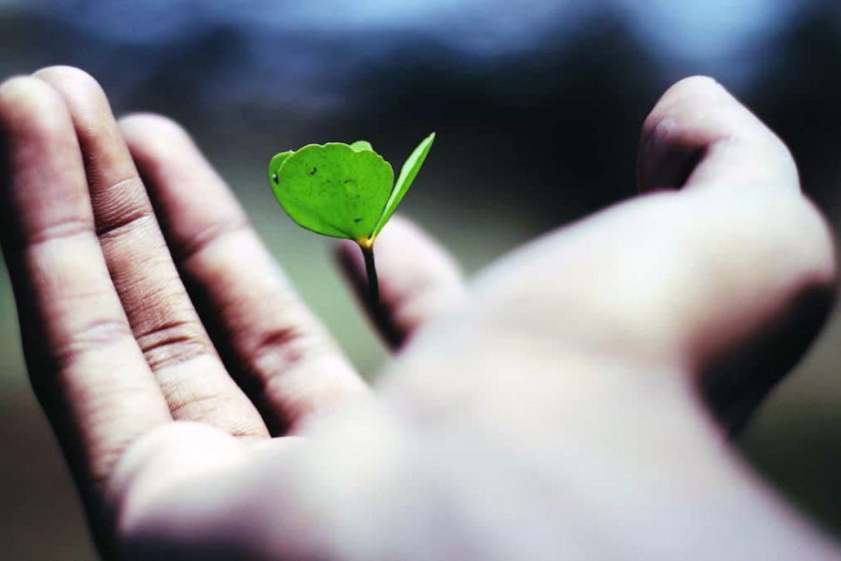 croissance économique écologie