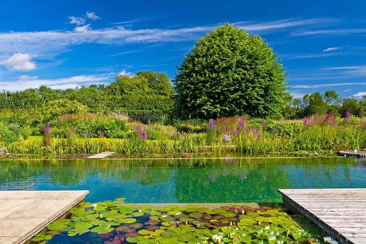 prix kit piscine naturelle